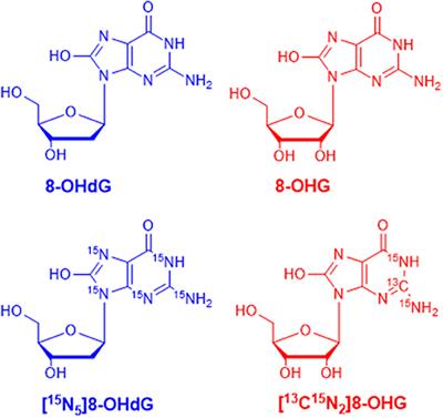 Elevated Levels of Oxidative Nucleic Acid Modification Markers in Urine From Gastric Cancer Patients: Quantitative Analysis by Ultra Performance Liquid Chromatography-Tandem Mass Spectrometry